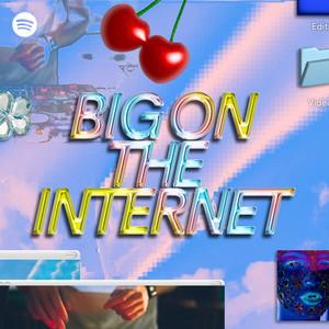 big on the internet